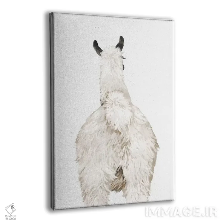 تابلو پشت لاما اثر بگ نوز ورک (استودیو) - نمای پرسپکتیو محصول