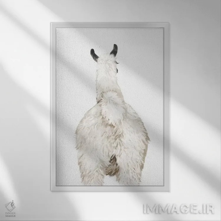 تابلو پشت لاما اثر بگ نوز ورک (استودیو) - نمای قابدار سفید