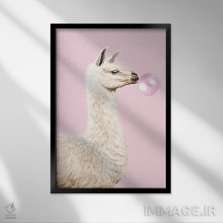تابلو لامای بازیگوش که آدامس بادکنکی را در رنگ صورتی میجود اثر بگ نوز ورک (استودیو) - نمای قابدار مشکی