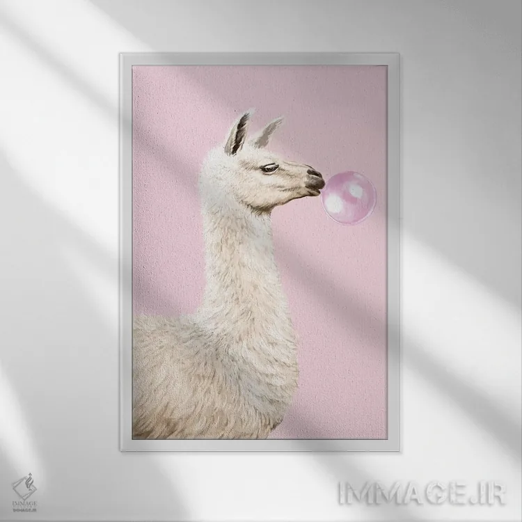 تابلو لامای بازیگوش که آدامس بادکنکی را در رنگ صورتی میجود اثر بگ نوز ورک (استودیو) - نمای قابدار سفید