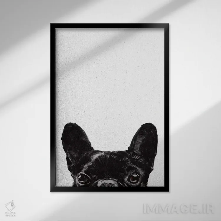 تابلو بولداگی که سرک میکشد اثر بگ نوز ورک (استودیو) - نمای قابدار مشکی