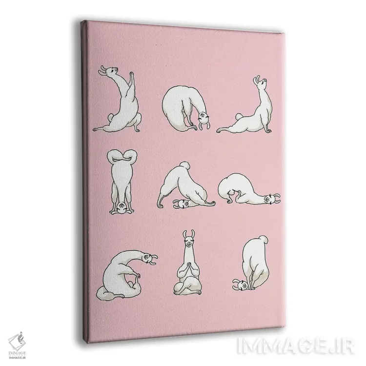 تابلو لامای یوگا کار در رنگ صورتی اثر بگ نوز ورک (استودیو) - نمای پرسپکتیو محصول