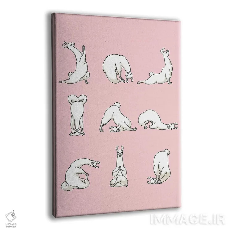 تابلو لامای یوگا کار در رنگ صورتی اثر بگ نوز ورک (استودیو) - نمای پرسپکتیو محصول