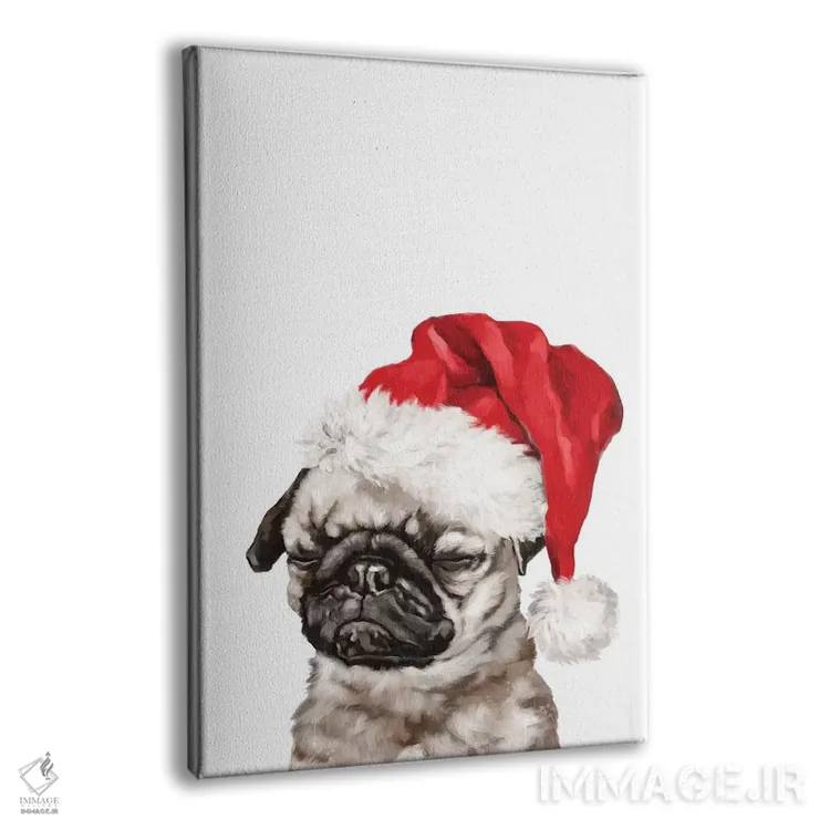 تابلو پاگ در حال مدیتیشن کریسمسی اثر بگ نوز ورک (استودیو) - نمای پرسپکتیو محصول