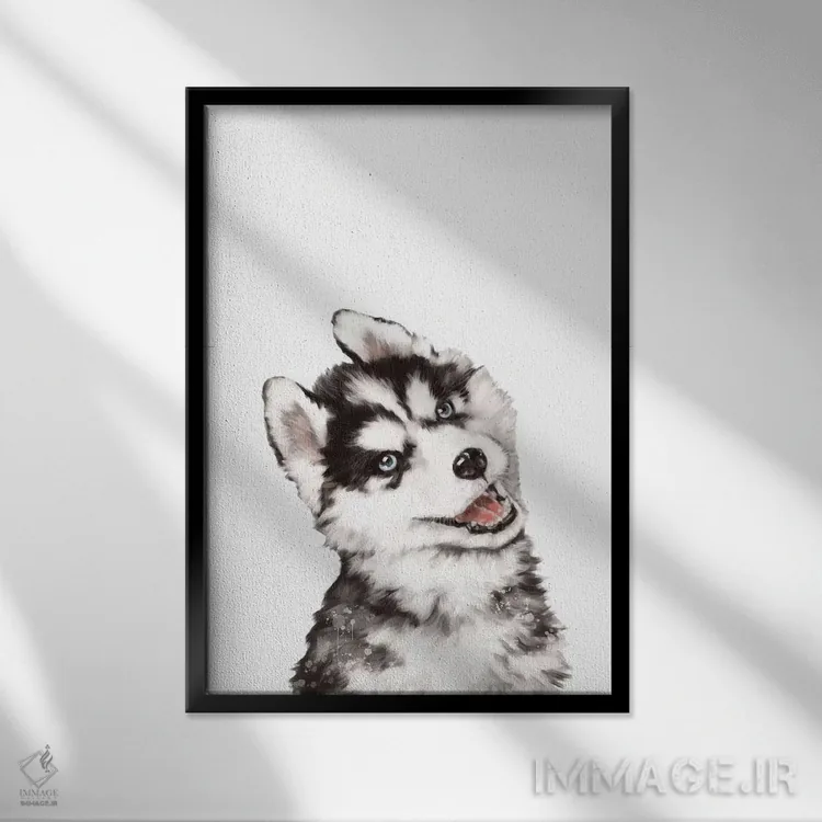تابلو توله هاسکی اثر بگ نوز ورک (استودیو) - نمای قابدار مشکی