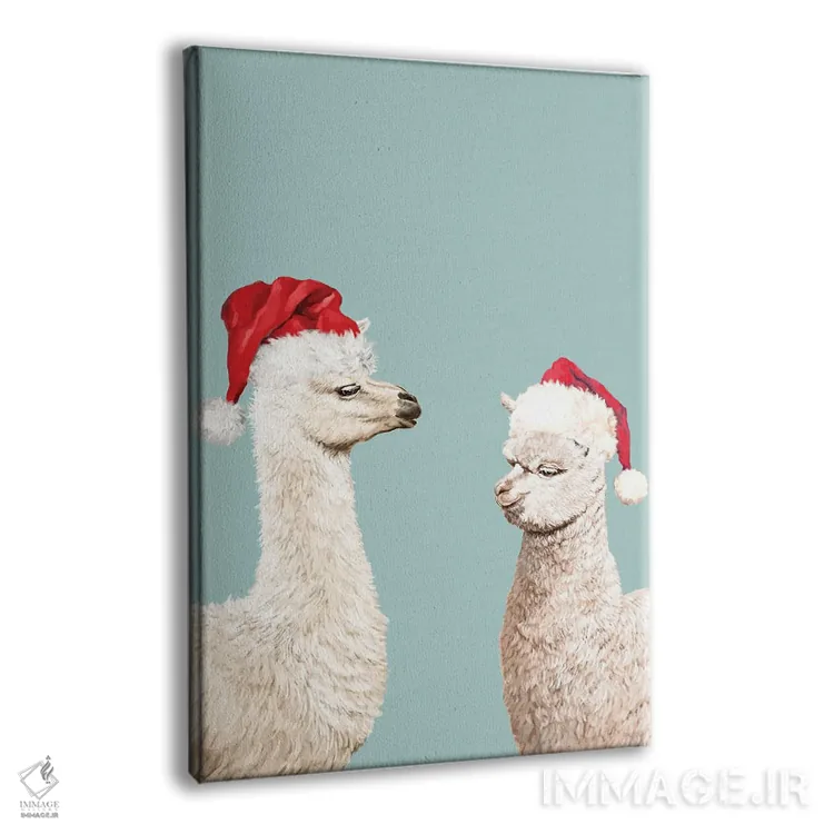 تابلو لاما آلباکای کریسمسی اثر بگ نوز ورک (استودیو) - نمای پرسپکتیو محصول