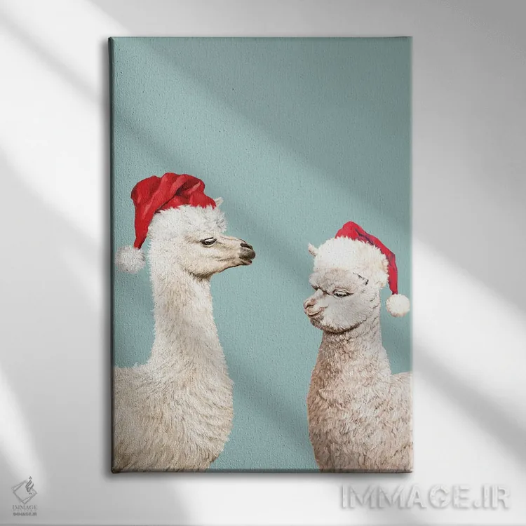 تابلو لاما آلباکای کریسمسی اثر بگ نوز ورک (استودیو) - نمای روبهرو روی دیوار