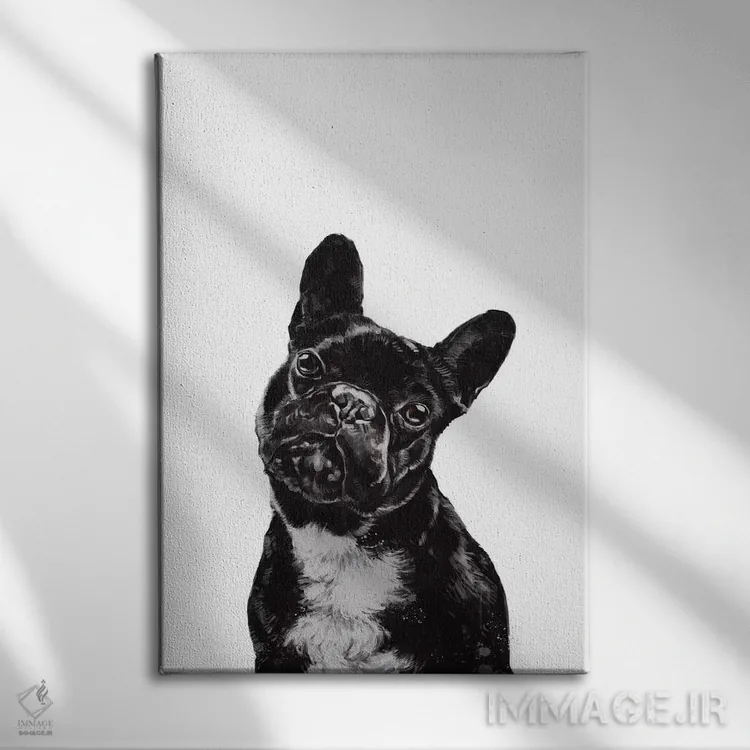 تابلو بولداگ اثر بگ نوز ورک (استودیو) - نمای روبهرو روی دیوار