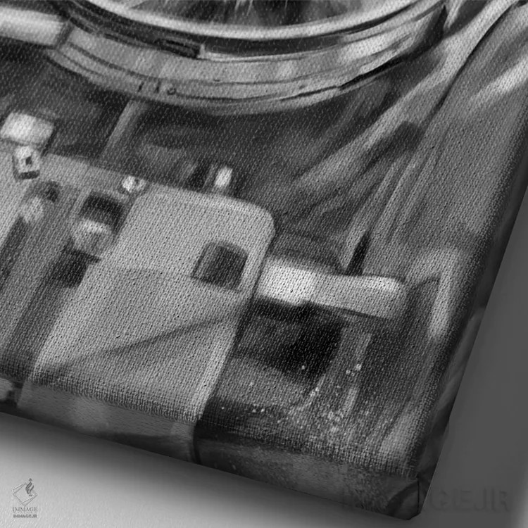 تابلو سلفی شیر فضانورد اثر بگ نوز ورک (استودیو) - نمای نزدیک بافت بوم