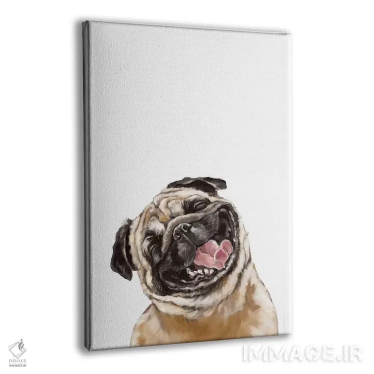 تابلو پاگ خندان شاد اثر بگ نوز ورک (استودیو) - نمای پرسپکتیو محصول