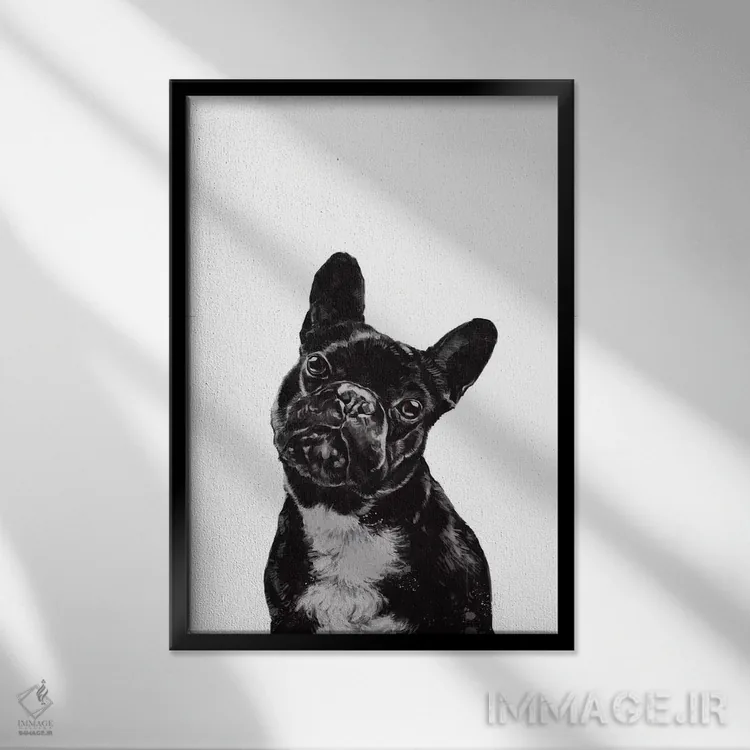 تابلو بولداگ اثر بگ نوز ورک (استودیو) - نمای قابدار مشکی
