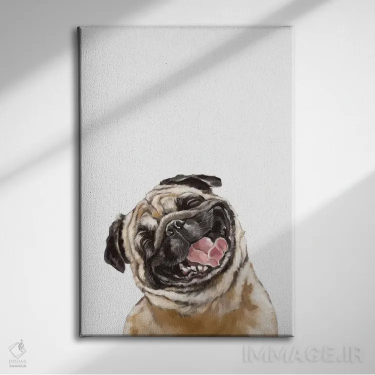 تابلو پاگ خندان شاد اثر بگ نوز ورک (استودیو) - نمای روبهرو روی دیوار