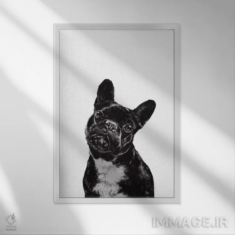 تابلو بولداگ اثر بگ نوز ورک (استودیو) - نمای قابدار سفید
