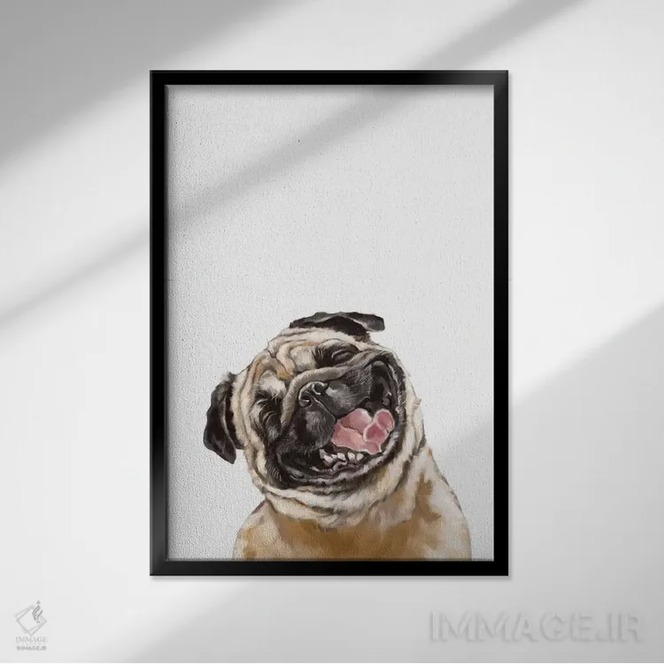 تابلو پاگ خندان شاد اثر بگ نوز ورک (استودیو) - نمای قابدار مشکی