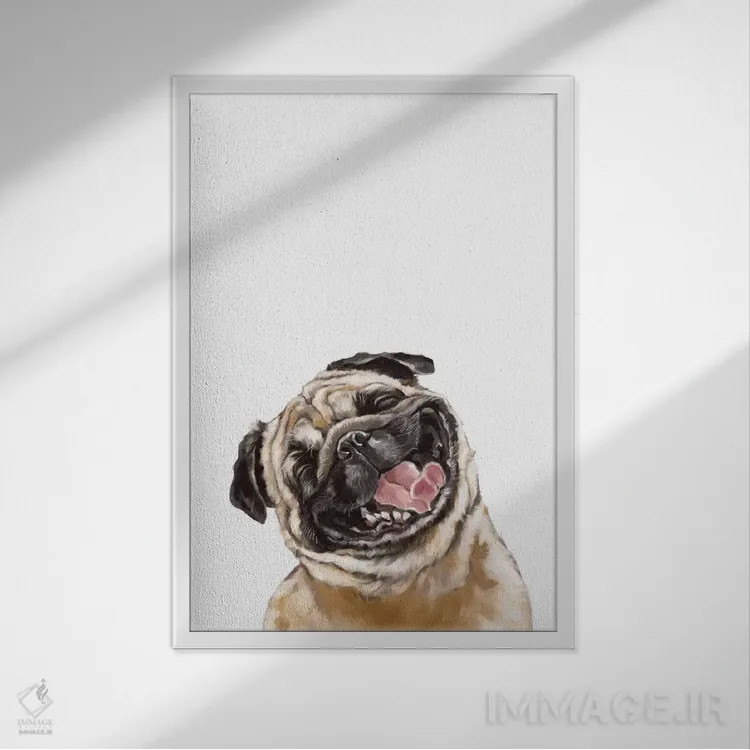 تابلو پاگ خندان شاد اثر بگ نوز ورک (استودیو) - نمای قابدار سفید