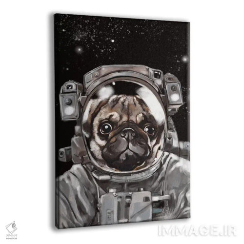 تابلو سلفی پاگ فضانورد اثر بگ نوز ورک (استودیو) - نمای پرسپکتیو محصول