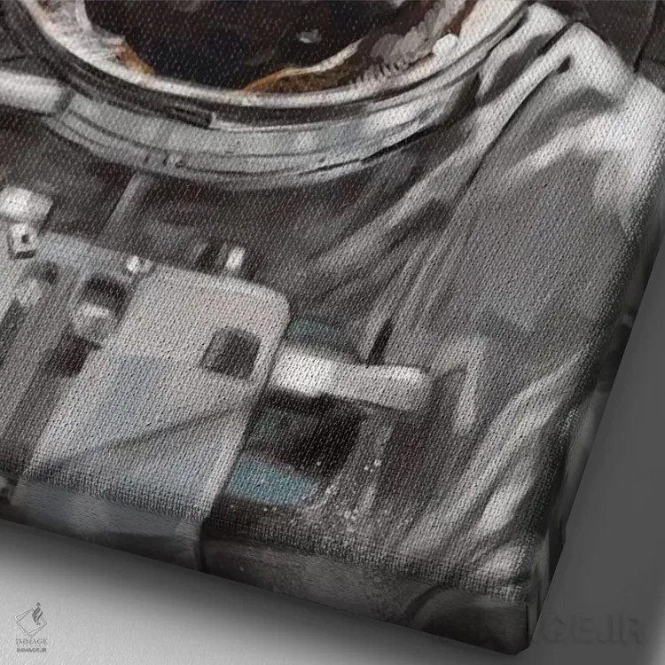 تابلو سلفی پاگ فضانورد اثر بگ نوز ورک (استودیو) - نمای نزدیک بافت بوم