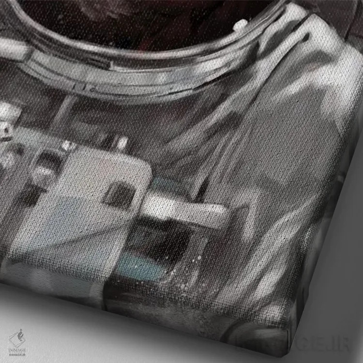 تابلو سلفی تنبل فضانورد اثر بگ نوز ورک (استودیو) - نمای نزدیک بافت بوم