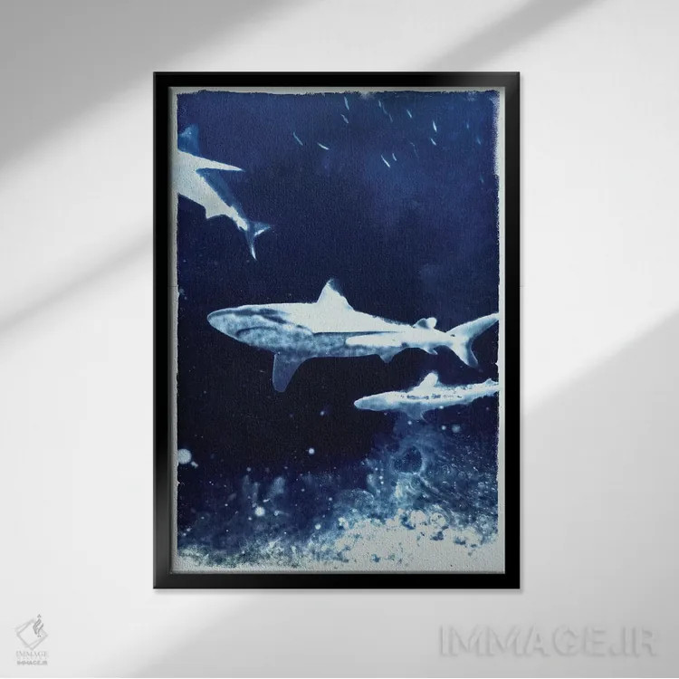 تابلو کوسههای نیلی اثر ۳۳ استخوان شکسته - نمای قابدار مشکی