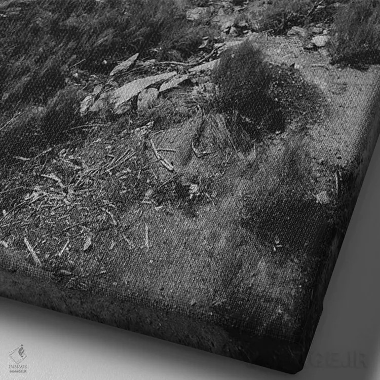 تابلو دره گراند کانیون XVIII (آمریکا) اثر ۳۳ استخوان شکسته - نمای نزدیک بافت بوم