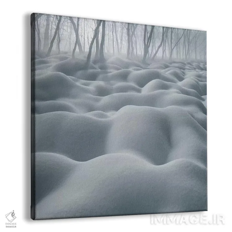 تابلو شنزار (تپههای شنی) اثر آدریان بوردَا - نمای پرسپکتیو محصول