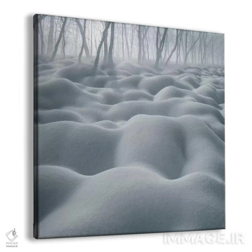 تابلو شنزار (تپههای شنی) اثر آدریان بوردَا - نمای پرسپکتیو محصول