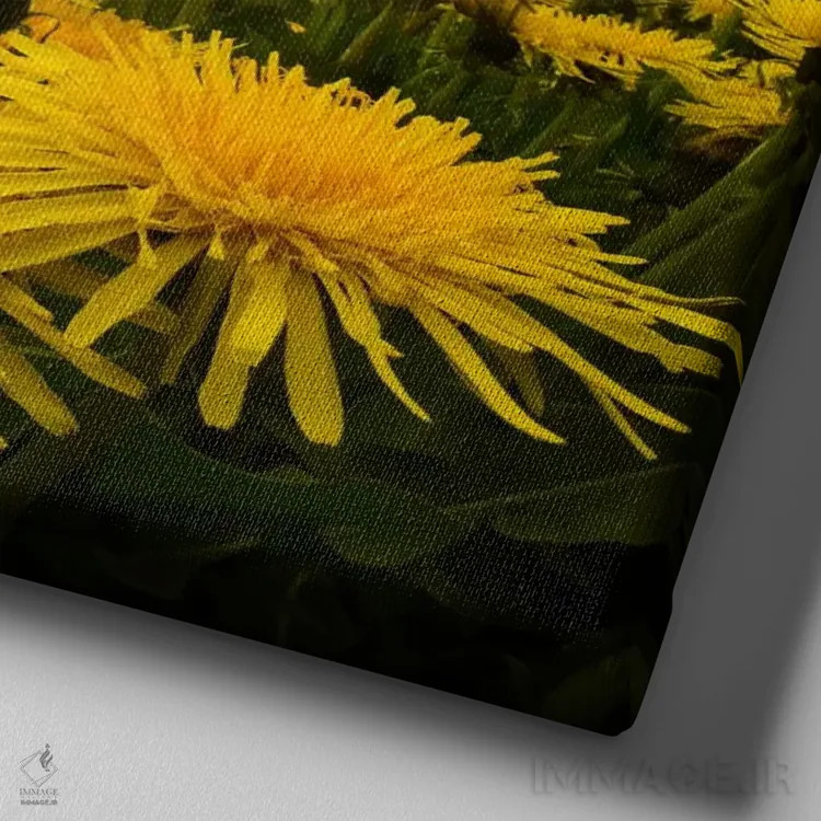 تابلو درخشش صبحگاهی دو اثر آدریان بوردَا - نمای نزدیک بافت بوم