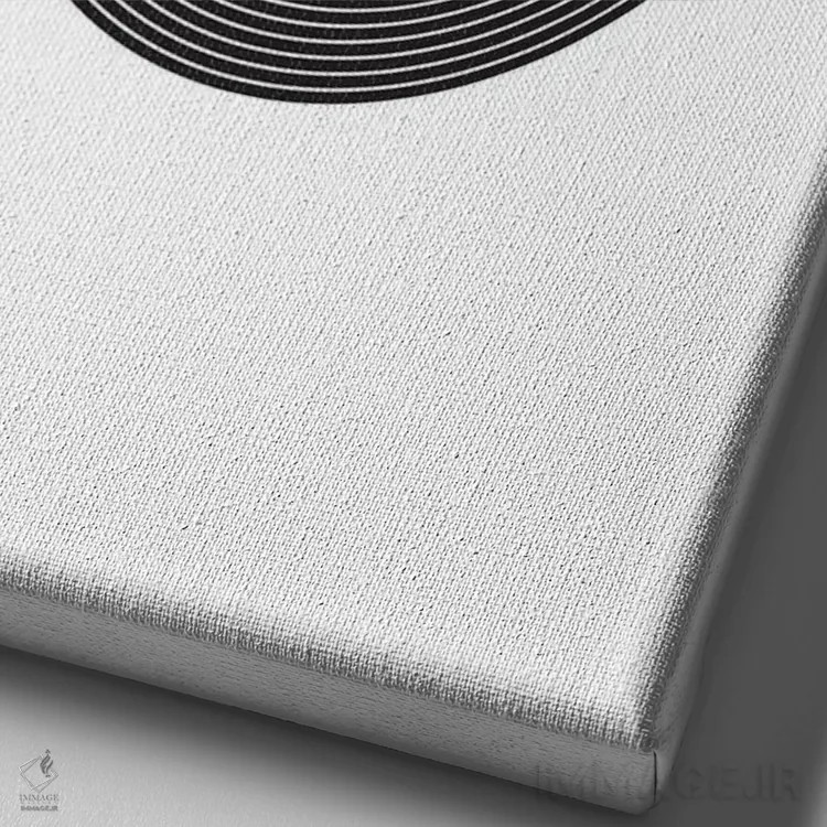 تابلو صفحه گرامافون سنت لوئیس اثر پرینتهای بنتون پارک (استودیو/گالری هنری) - نمای نزدیک بافت بوم