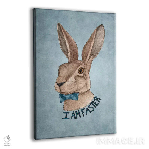 تابلو آقای خرگوش سریعتر است اثر باروف - نمای پرسپکتیو محصول