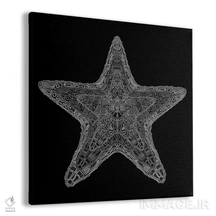 تابلو ستاره دریایی تزیینی اثر باروف - نمای پرسپکتیو محصول