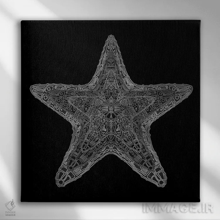 تابلو ستاره دریایی تزیینی اثر باروف - نمای روبهرو روی دیوار