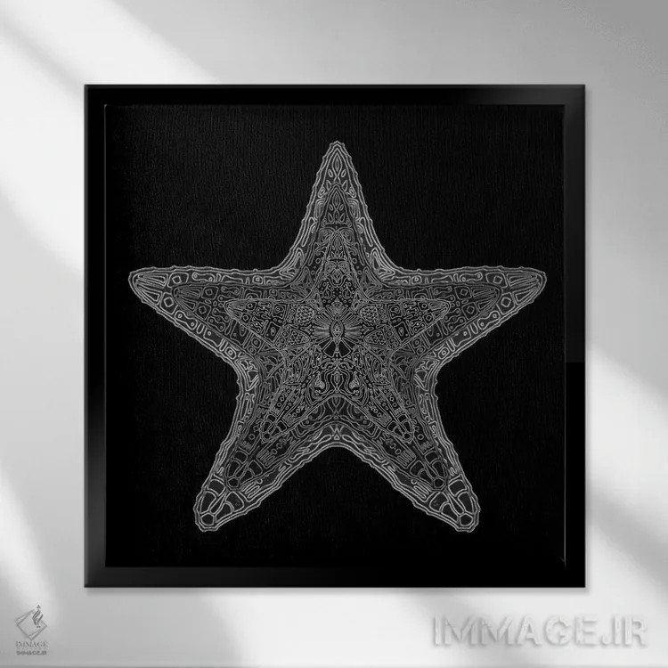 تابلو ستاره دریایی تزیینی اثر باروف - نمای قابدار مشکی