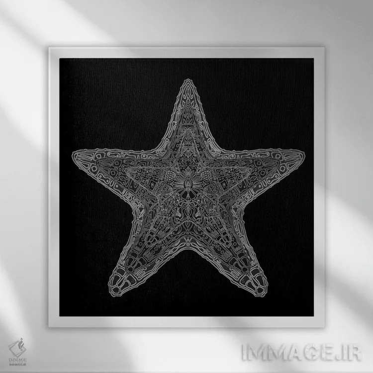 تابلو ستاره دریایی تزیینی اثر باروف - نمای قابدار سفید