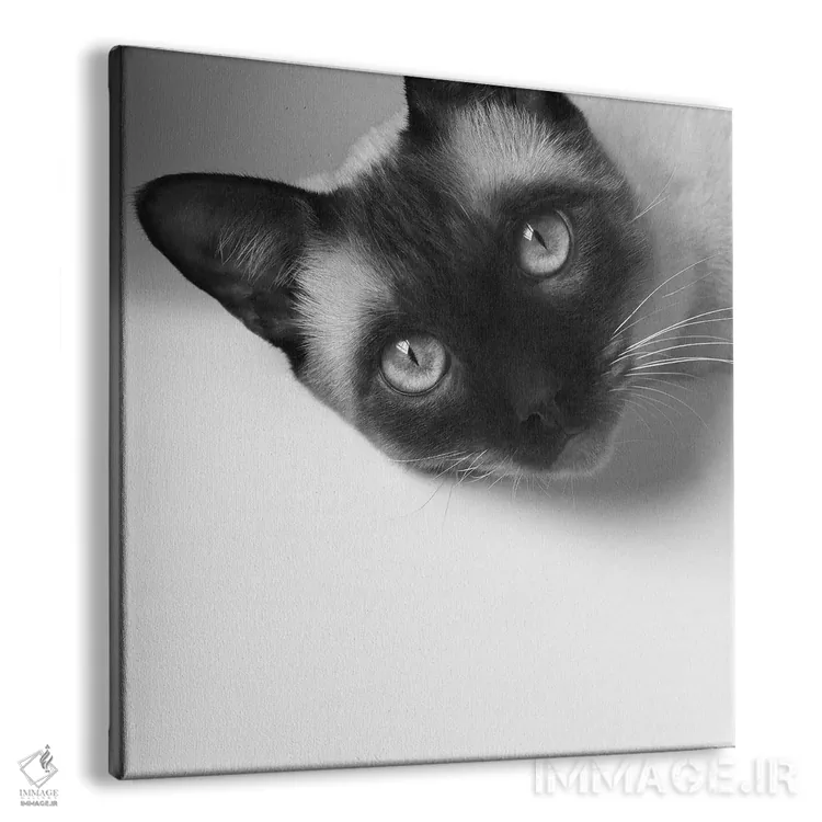 تابلو هی! اثر جان برتلی - نمای پرسپکتیو محصول