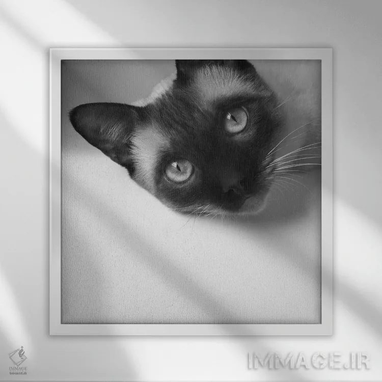 تابلو هی! اثر جان برتلی - نمای قابدار سفید