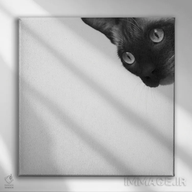 تابلو شجاع باش اثر جان برتلی - نمای روبهرو روی دیوار