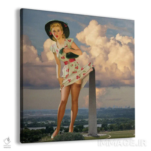 تابلو پینآپ دیسی (واشنگتن) اثر جیسون بروک - نمای پرسپکتیو محصول