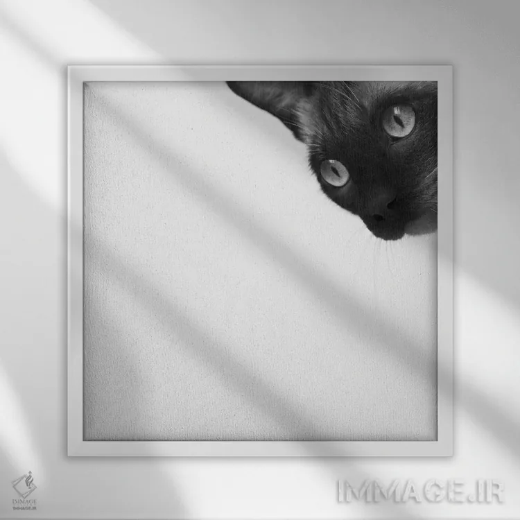 تابلو شجاع باش اثر جان برتلی - نمای قابدار سفید