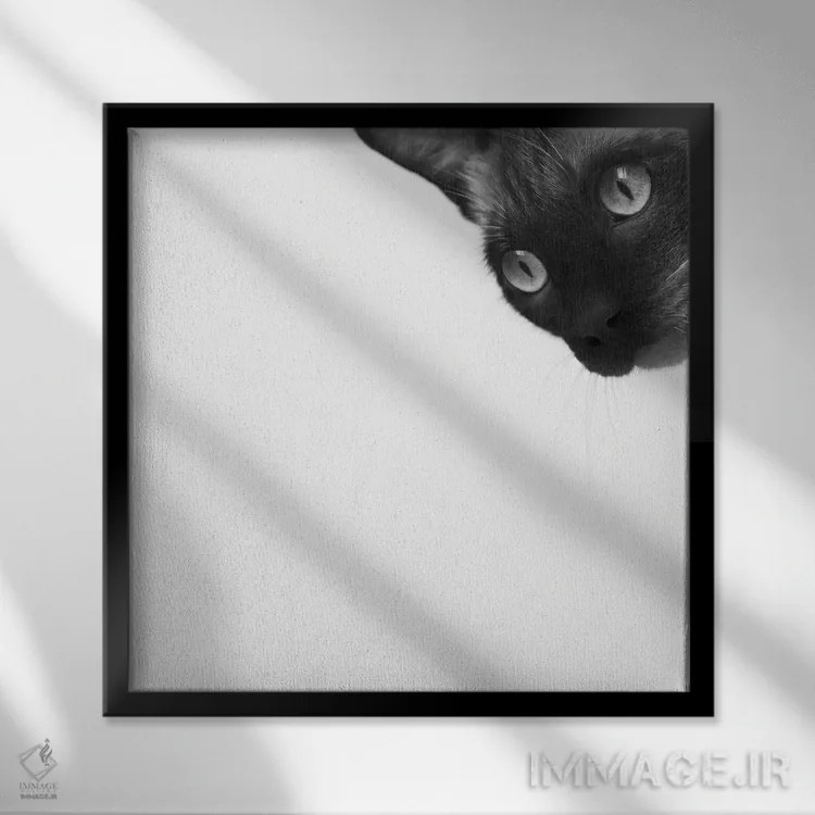 تابلو شجاع باش اثر جان برتلی - نمای قابدار مشکی