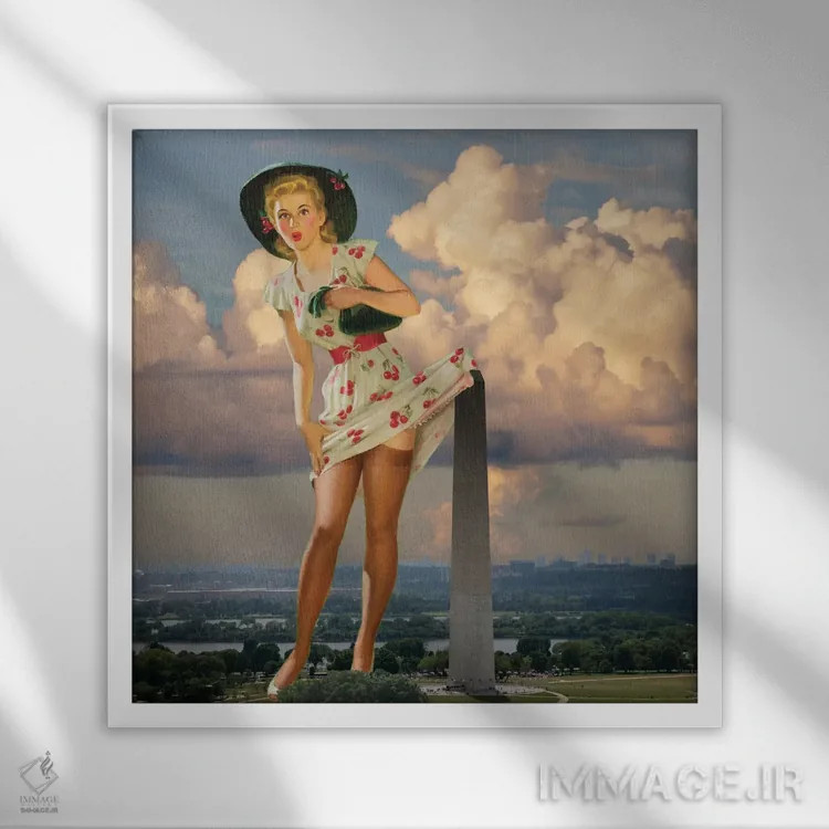 تابلو پینآپ دیسی (واشنگتن) اثر جیسون بروک - نمای قابدار سفید