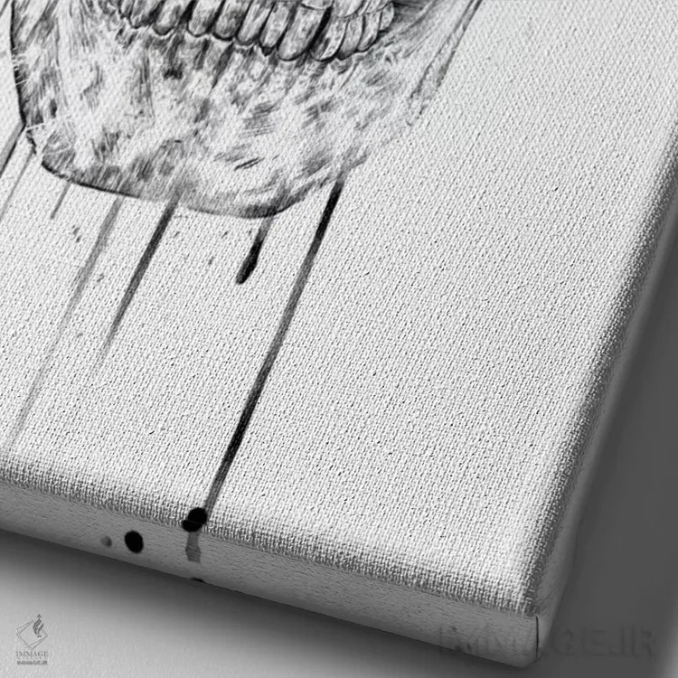 تابلو جمجمه با عینک قرمز اثر بالازس شولتی - نمای نزدیک بافت بوم