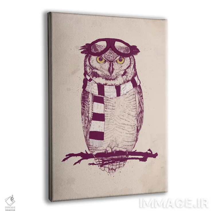 تابلو هوانورد اثر بالازس شولتی - نمای پرسپکتیو محصول