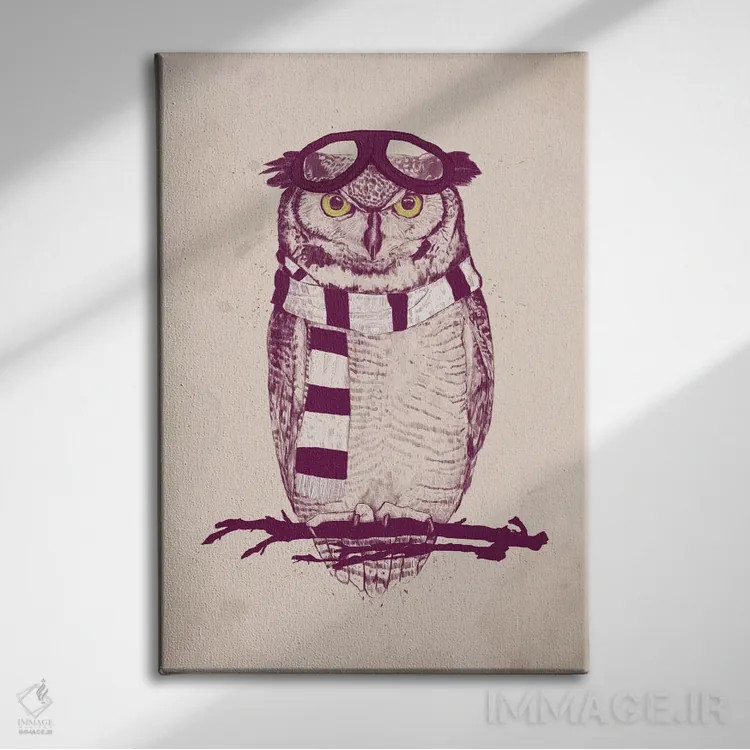 تابلو هوانورد اثر بالازس شولتی - نمای روبهرو روی دیوار