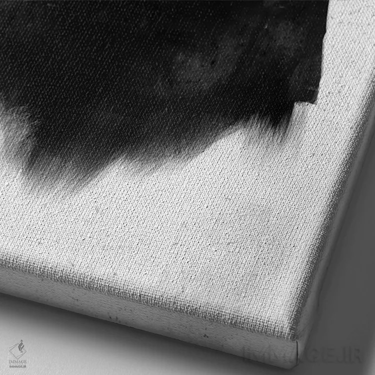 تابلو چیزی که میبینی همان چیزی است که میگیری اثر بالازس شولتی - نمای نزدیک بافت بوم