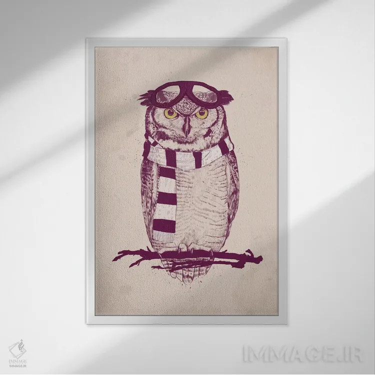 تابلو هوانورد اثر بالازس شولتی - نمای قابدار سفید