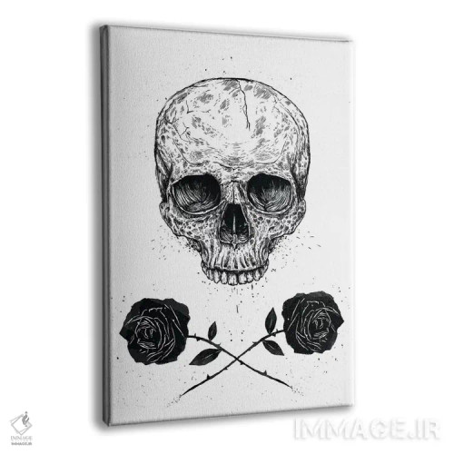 تابلو جمجمه و گل رز اثر بالازس شولتی - نمای پرسپکتیو محصول