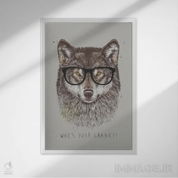 تابلو مادربزرگت کیه؟ اثر بالازس شولتی - نمای قابدار سفید