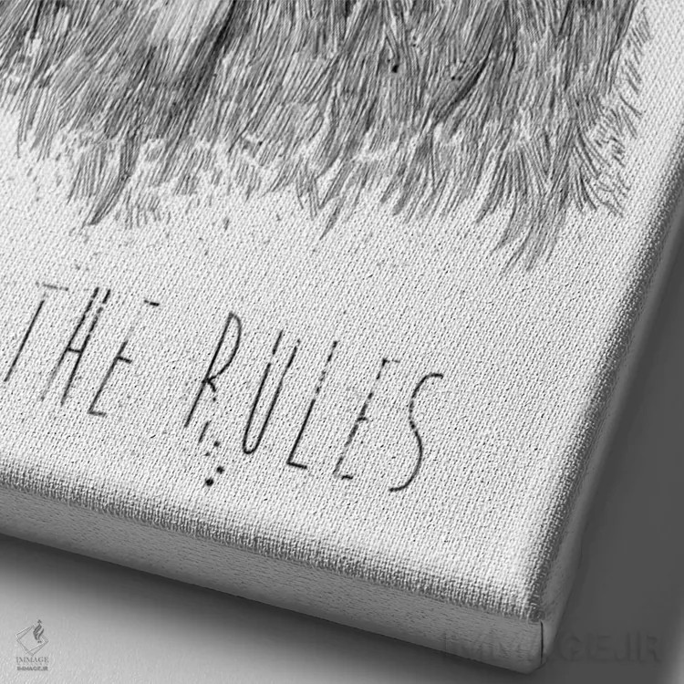 تابلو قانونشکنی کن اثر بالازس شولتی - نمای نزدیک بافت بوم