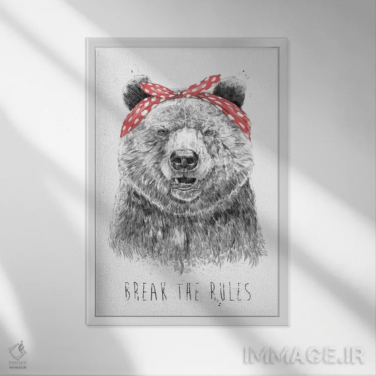 تابلو قانونشکنی کن اثر بالازس شولتی - نمای قابدار سفید