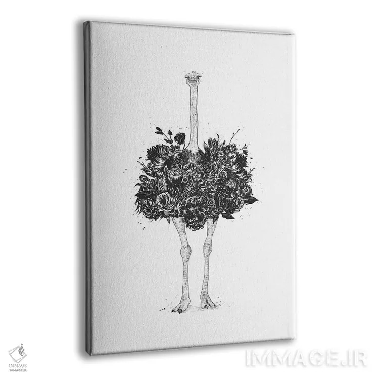 تابلو شترمرغ گلدار اثر بالازس شولتی - نمای پرسپکتیو محصول